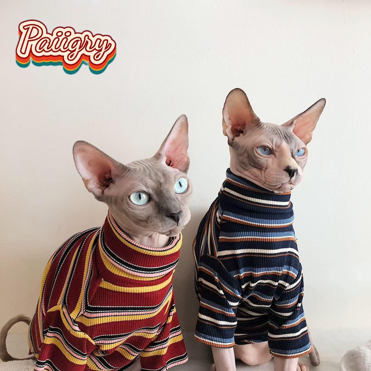 High Cold Retro-Style Katzen-T – Summer Clothing Must Haves Bewertung und Preis