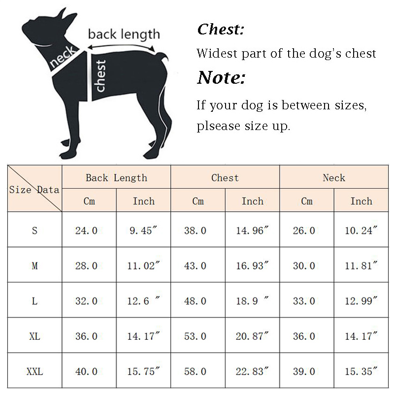 Modische Französische Bulldogg – Summer Clothing In French Bewertung und Preis
