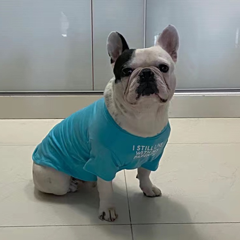 Modische Französische Bulldogg – Summer Clothing In French Bewertung und Preis