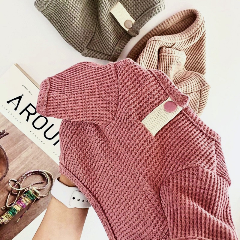 Sommer-Haustiershirt, solides  – Summer Clothing In French Bewertung und Preis